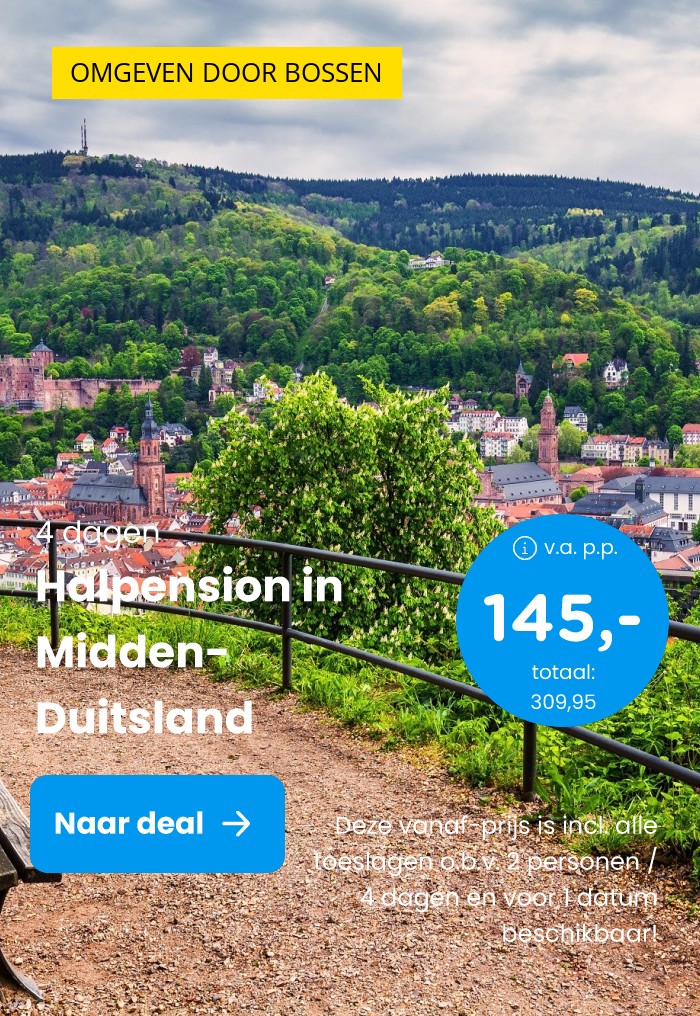 Ontdek bergachtig Midden-Duitsland nabij Heidelberg o.b.v. halfpension