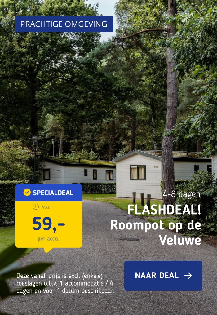 FLASHDEAL! ⚡️ Met het gezin in een chalet in Roompot Bospark De Schaapskooi op de Veluwe