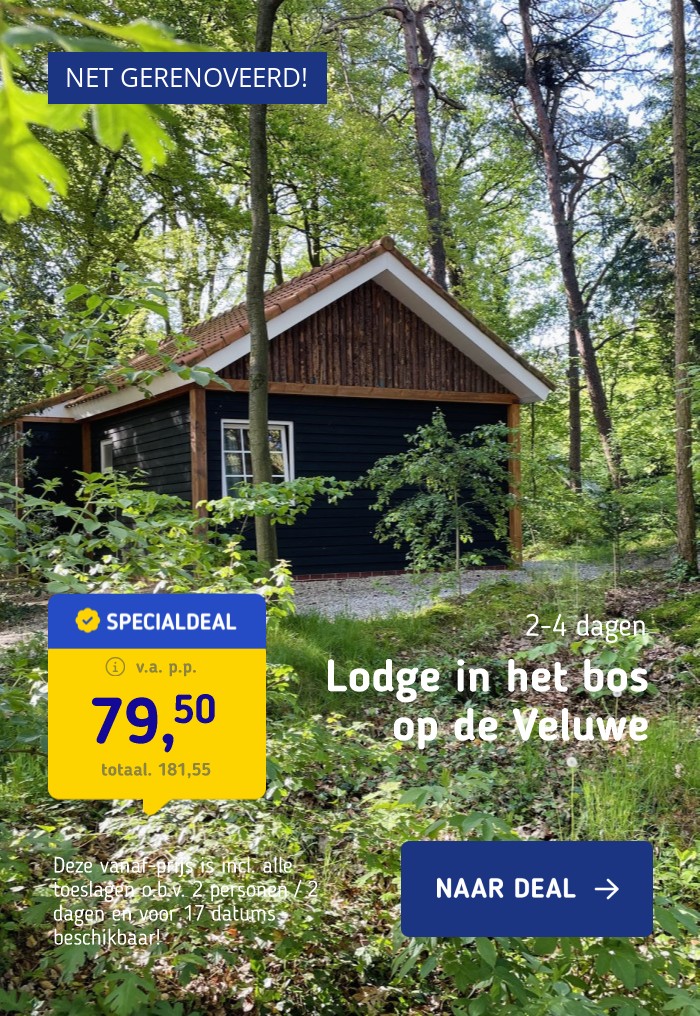 MEGA DEAL!⚡️ Verblijf midden op de Veluwe in de natuur in een splinternieuwe Lodge Deluxe incl. ontbijt