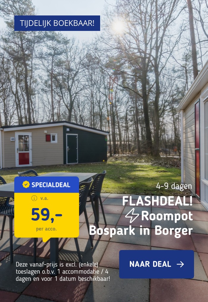 FLASHDEAL! ⚡️Verblijf in een 4-persoons Chalet op Roompot Bospark Lunsbergen