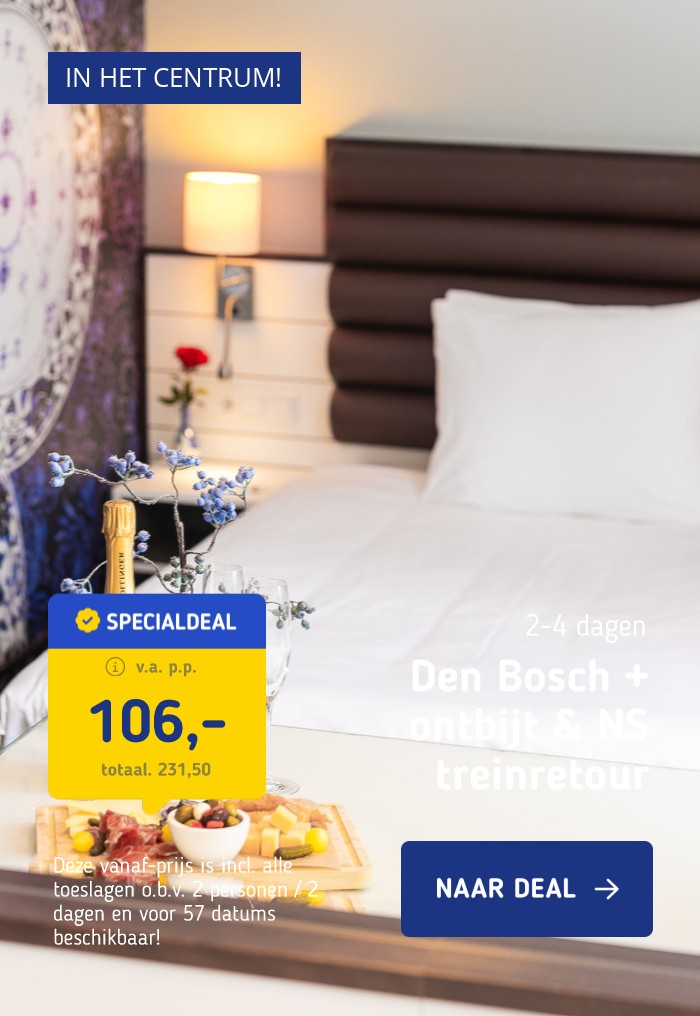 Ontdek de prachtige binnenstad van Den Bosch met verblijf in 4*-hotel incl. ontbijt en NS treinretour